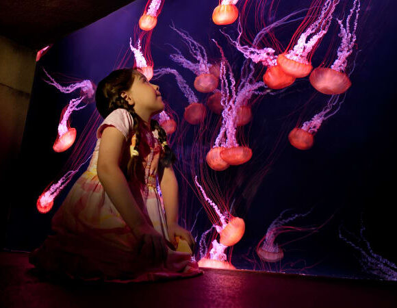 The Lost Chambers Aquarium Tickets