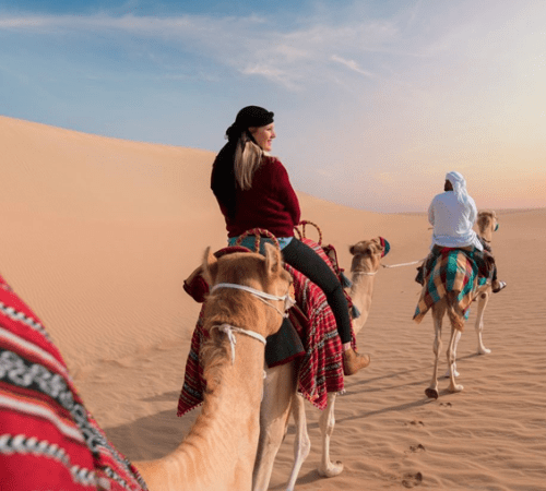 Camel Trekking in Abu Dhabi