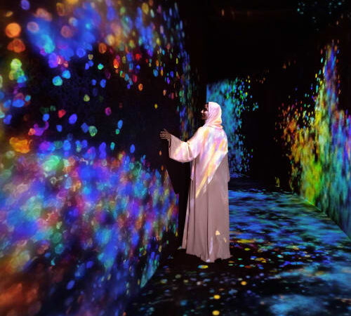 Teamlab Phenomena