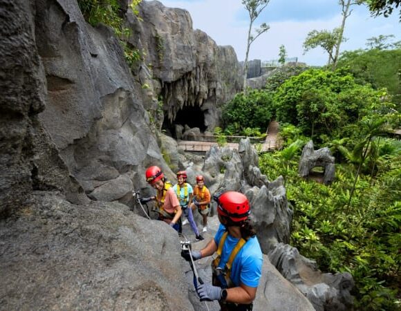 Rainforest Wild Asia