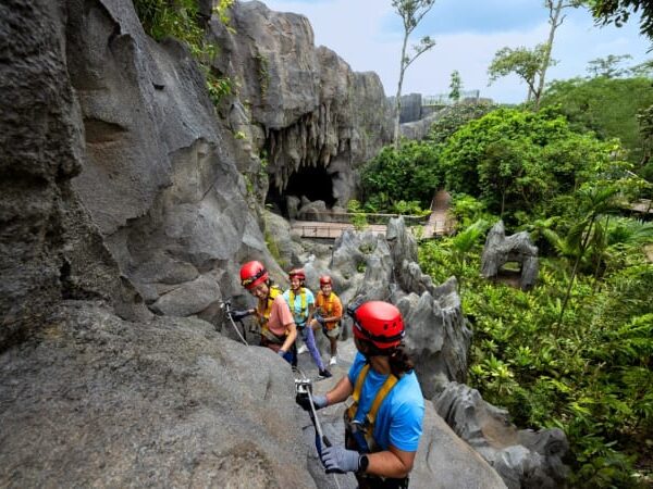 Rainforest Wild Asia