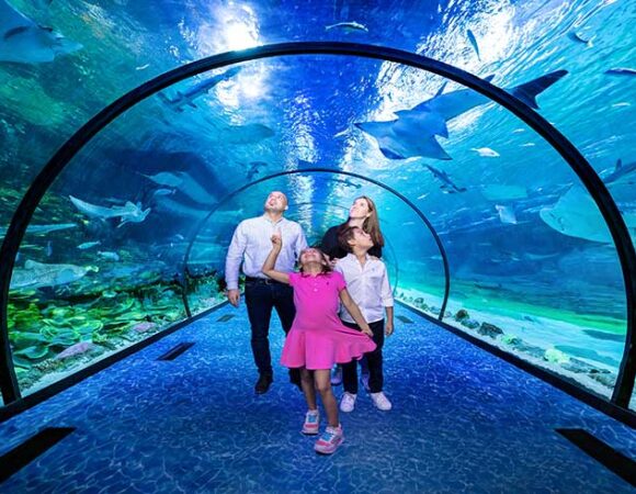 The National Aquarium Abu Dhabi