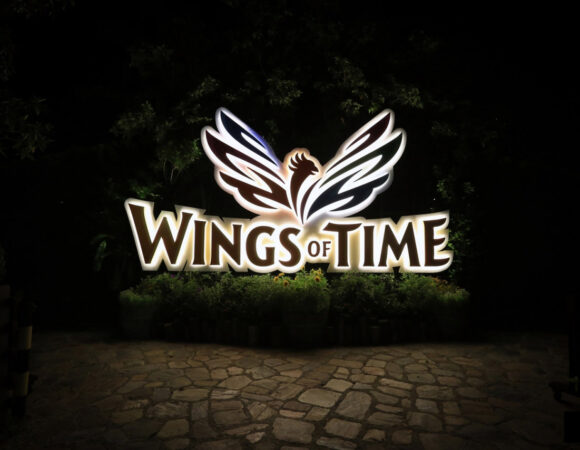 Wings of Time