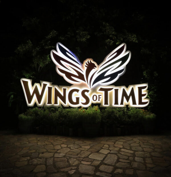 Wings of Time